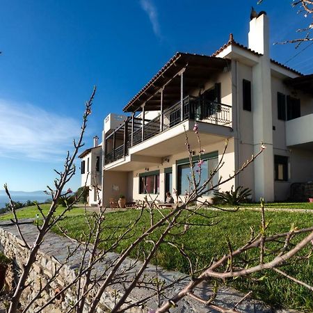 Aegean Panorama Apartments Akhladherí Eksteriør billede