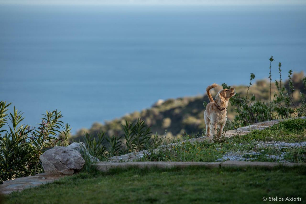 Aegean Panorama Apartments Akhladherí Eksteriør billede