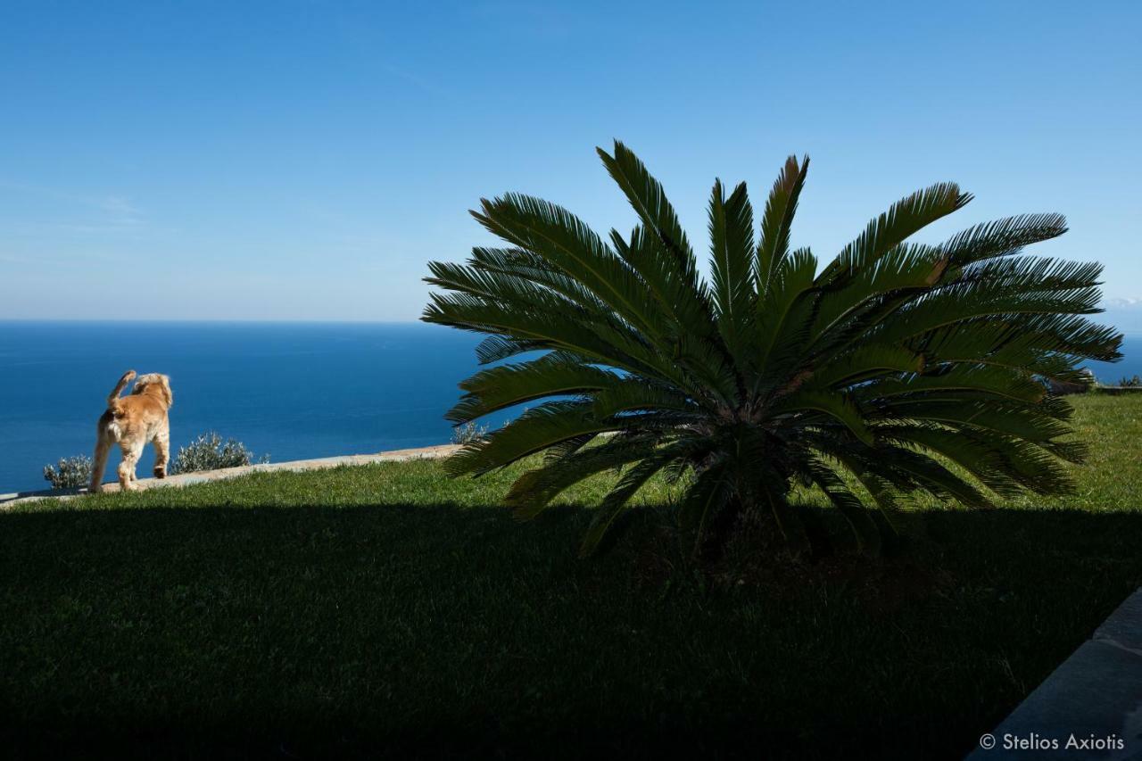 Aegean Panorama Apartments Akhladherí Eksteriør billede